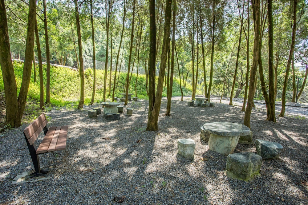 Baishengcun Coffee Farm