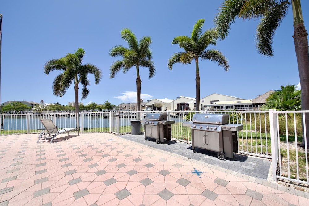Palm Harbor #403