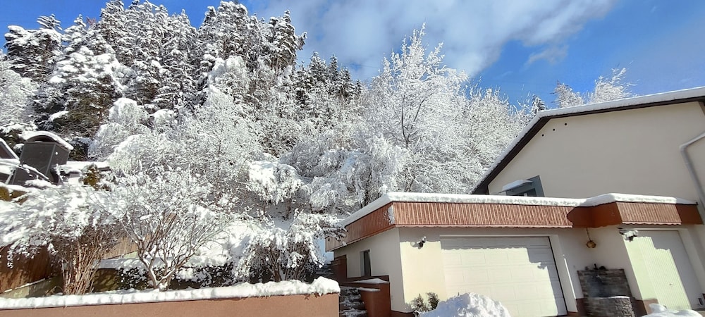 Cozy Apartament Near Redbull Ring and Prabichl