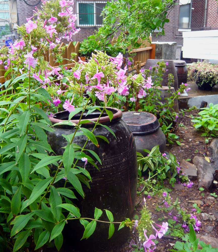 iCOS Guesthouse 2 for Female - Hostel