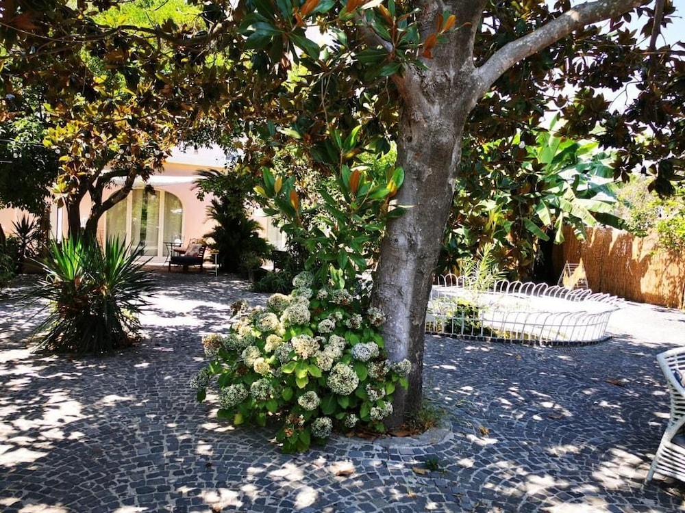 Casa Elsa