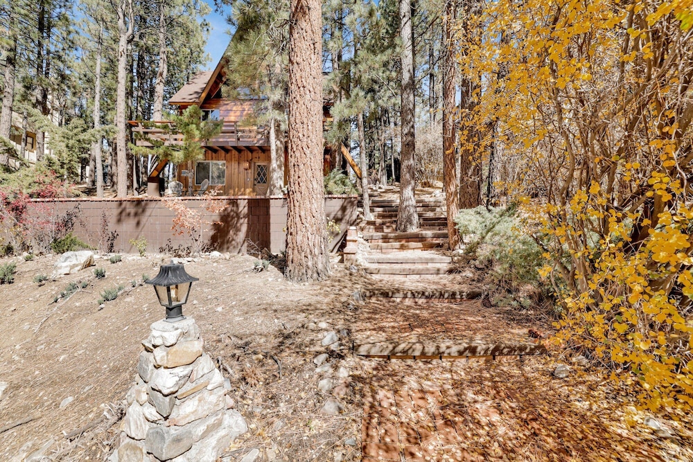 The Wilkie Cabin #339