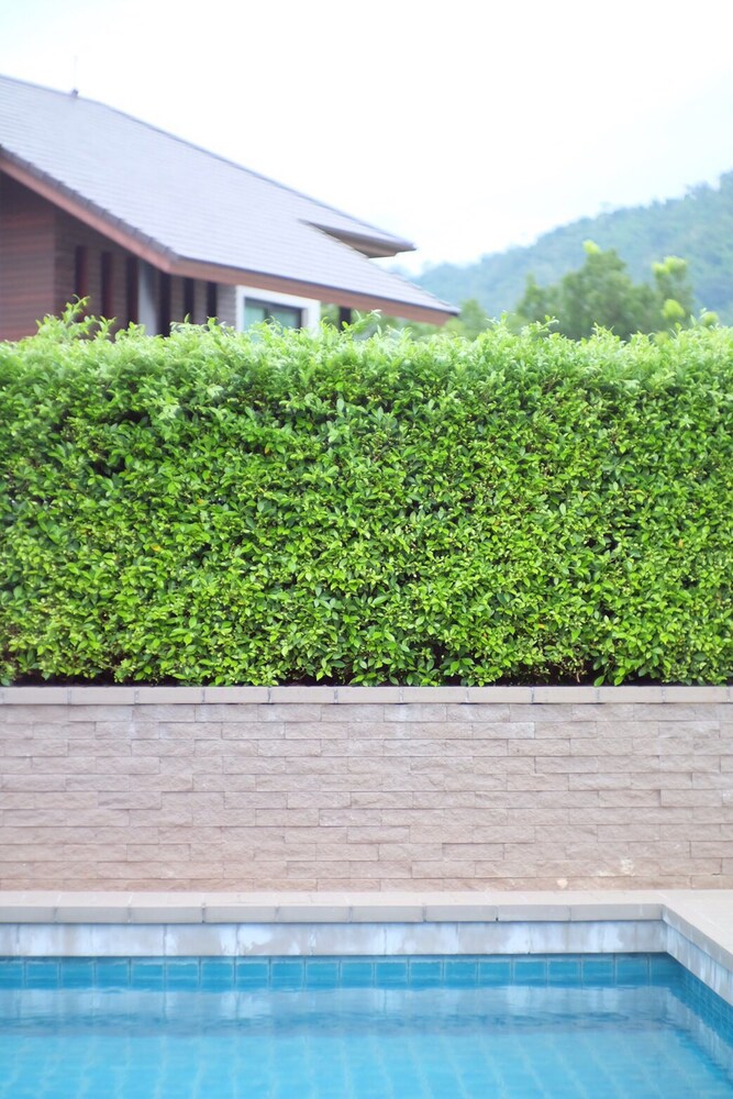 Monlada Khaoyai