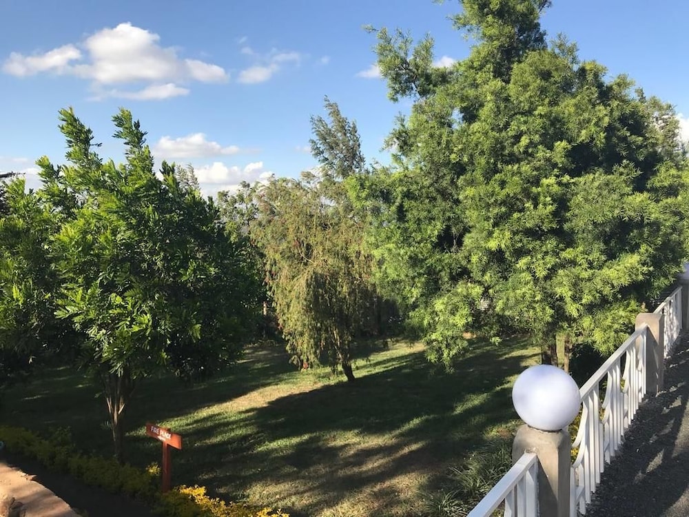Photo 38