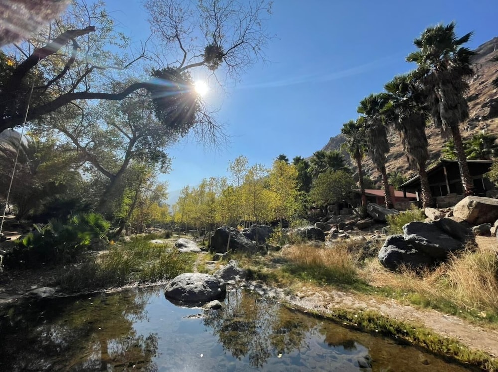Ensenada Vacations - Rancho San Carlos Aguas Termales - Property Image 21