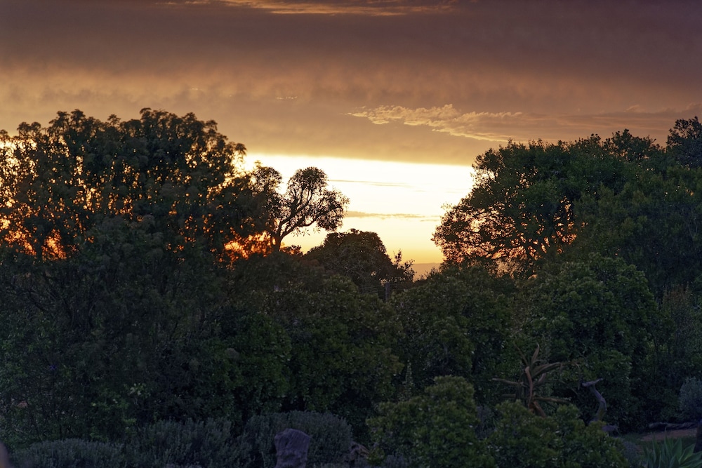 Elephants Lodge - Bellevue Forest Reserve