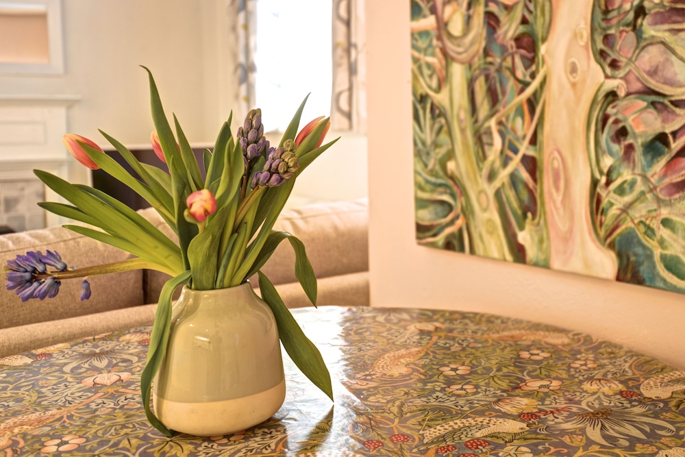 Holiday Cottages and North Star Apartment
