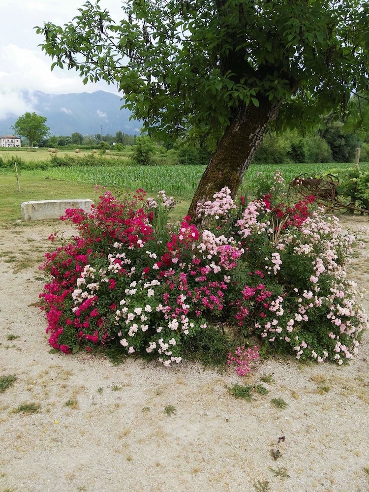 Agriturismo Campo Del Monaco view 3