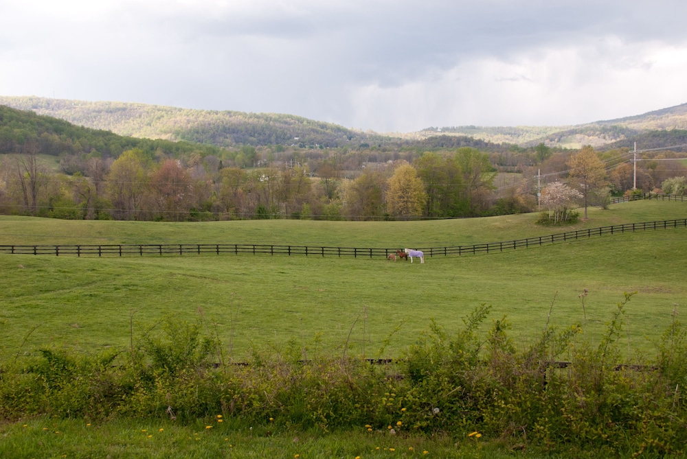 Glen Gordon Manor