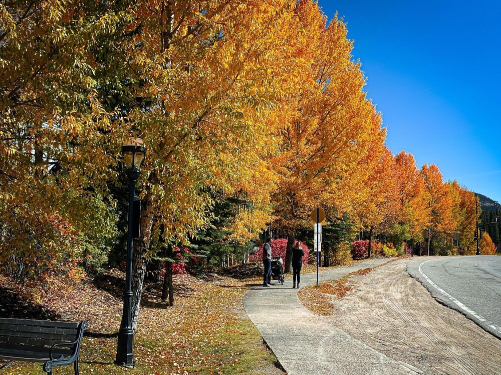 Breckenridge Ski Resort CO Vacation Homes
