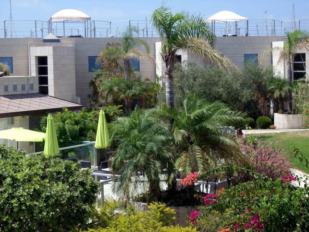 Michelle Suites
