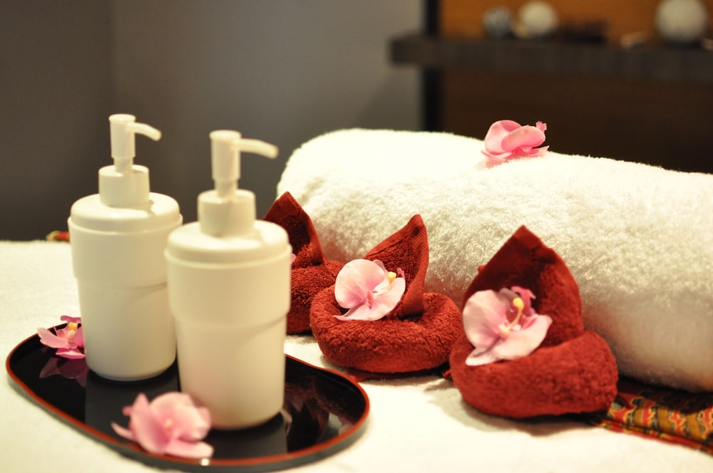 ibis World Trade Centre Dubai - Image 2