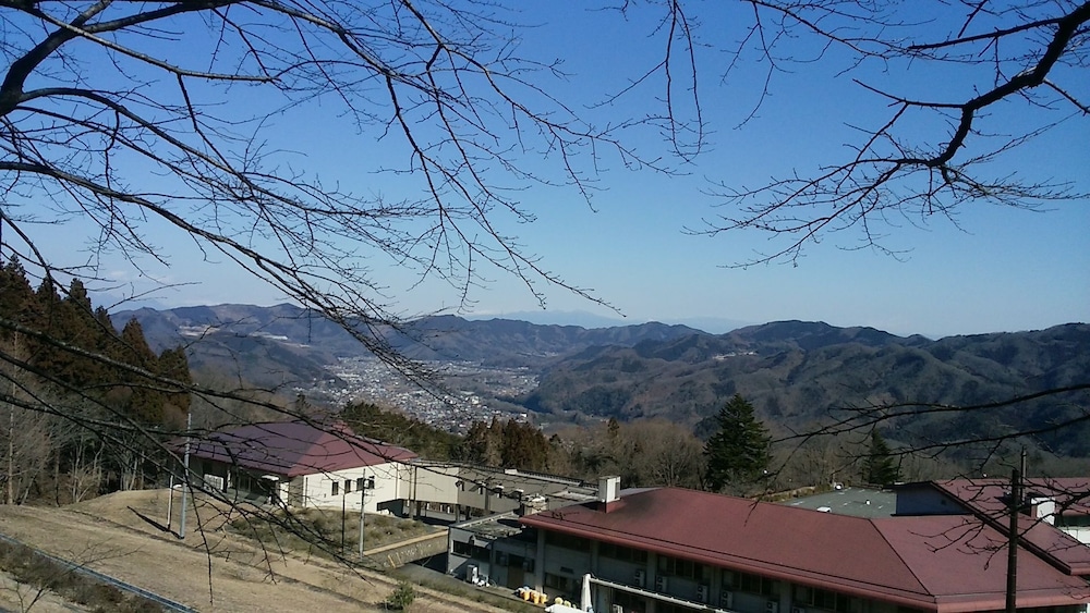 Photo 42