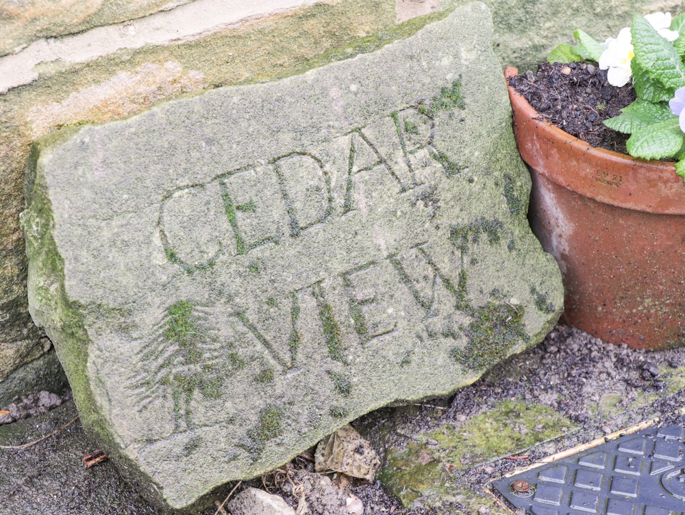 Cedar View