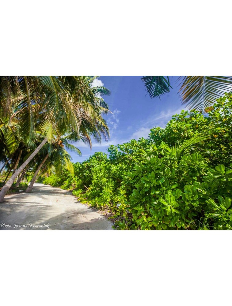 Thoddoo Beach View by Vista