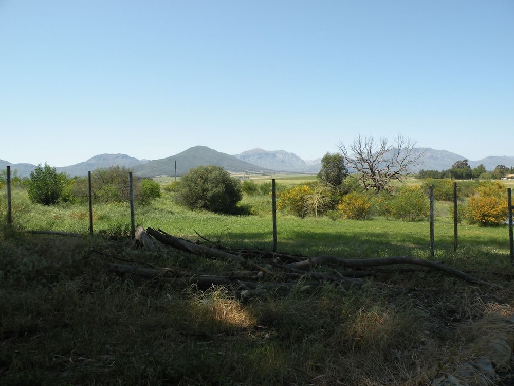 Photo 36