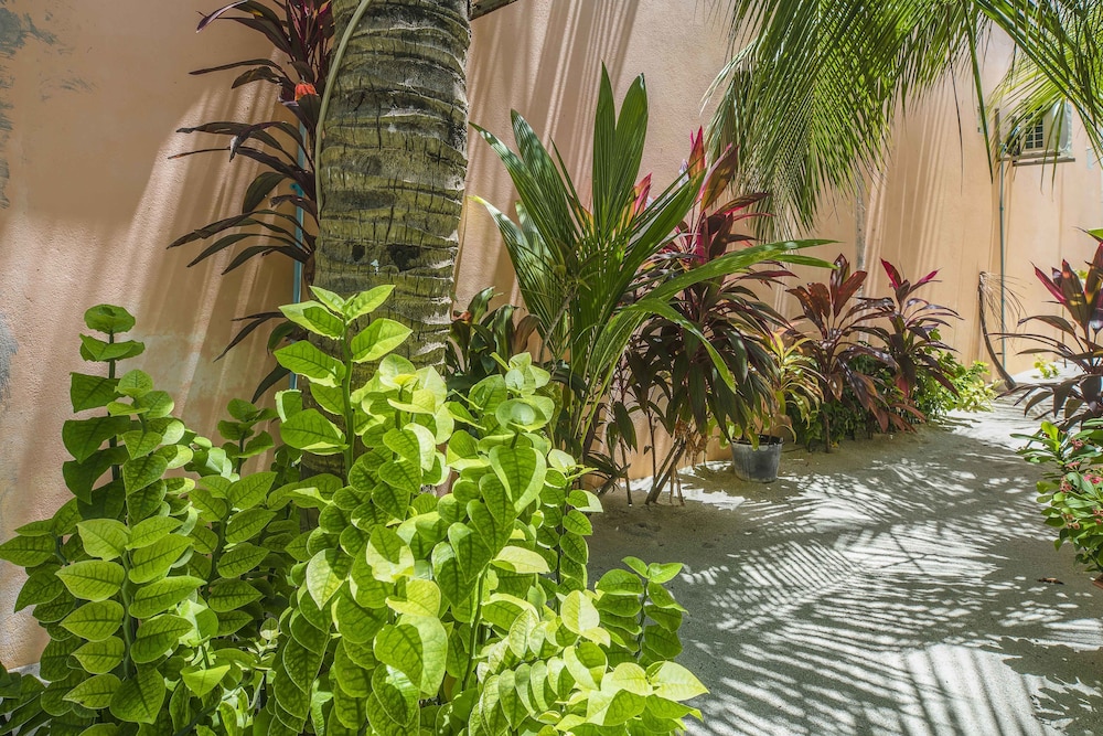 Royal Inn Rasdhoo