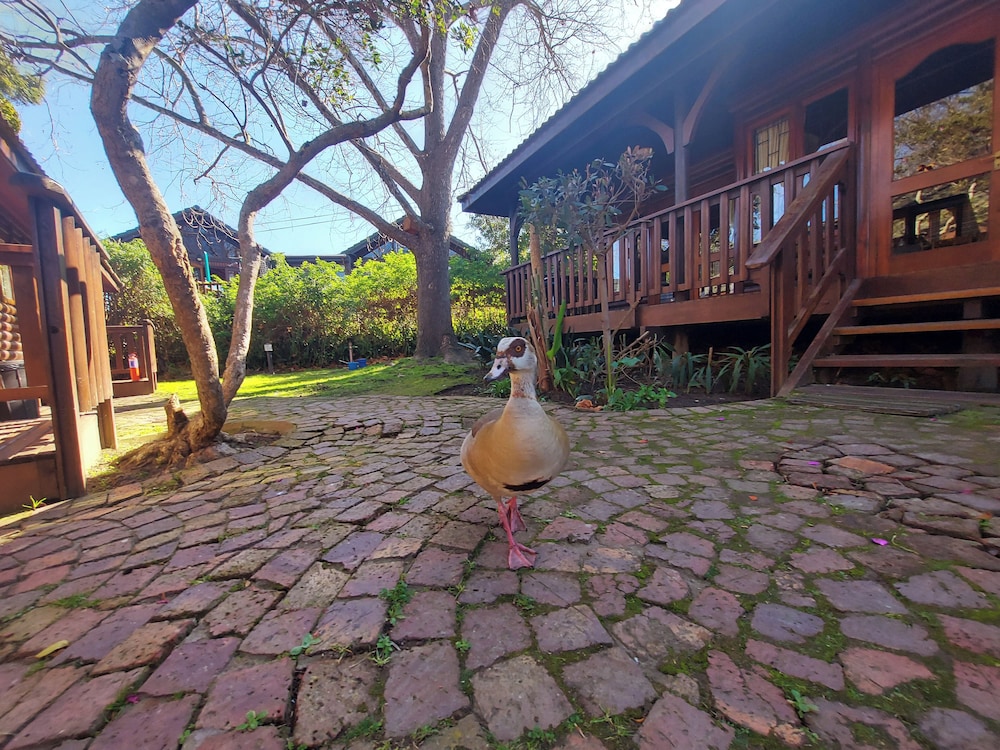 Knysna River Club by First Private Stays