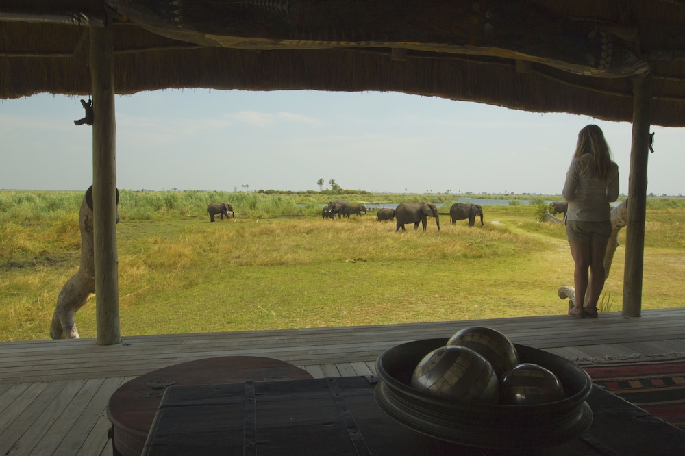 Selinda Camp