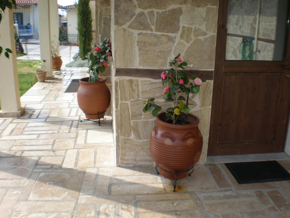 Olympia Guesthouse view 3