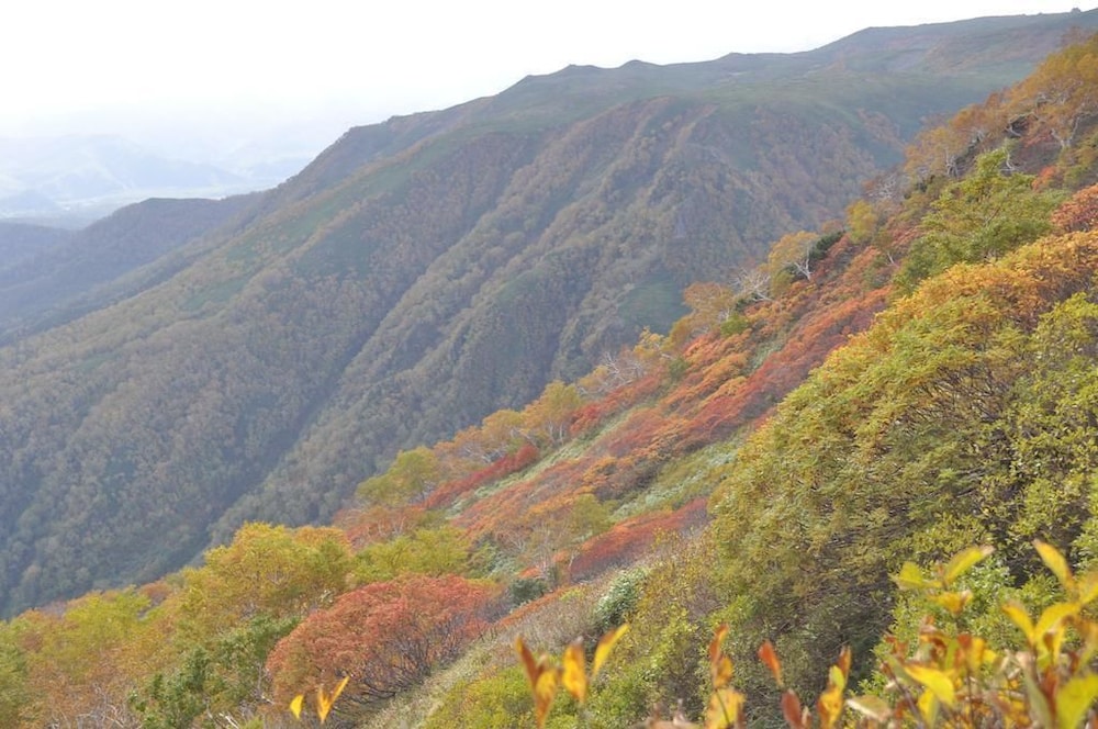 Yumoto Ginsenkaku