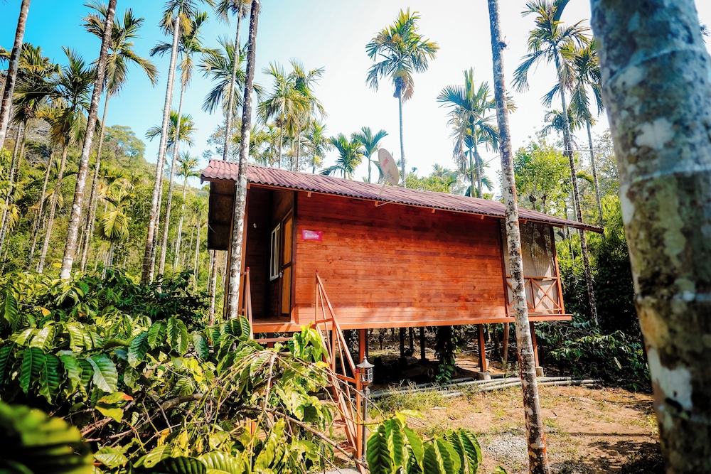 Tapasya Home