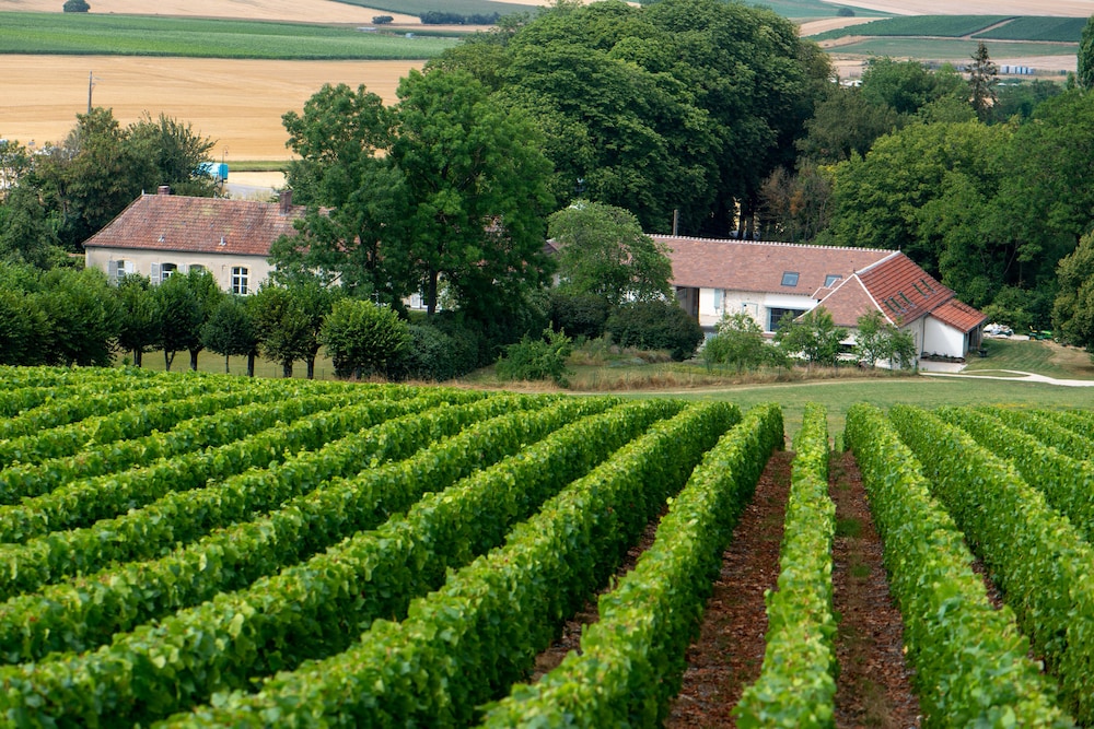 L'Ecrin des Vignes