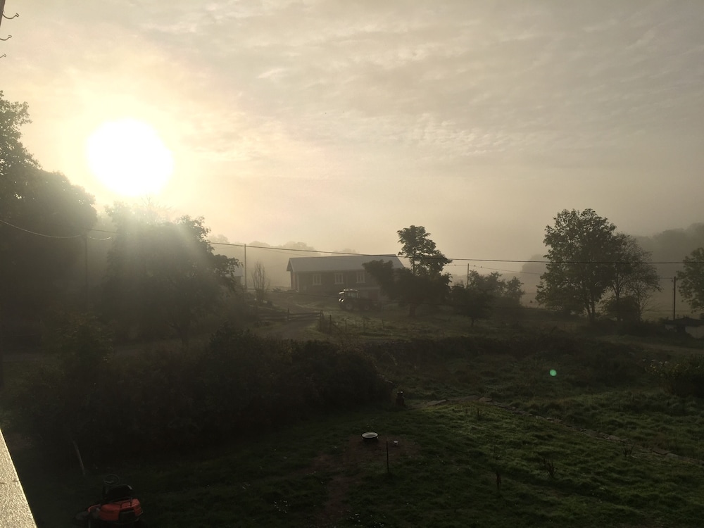 Photo 48