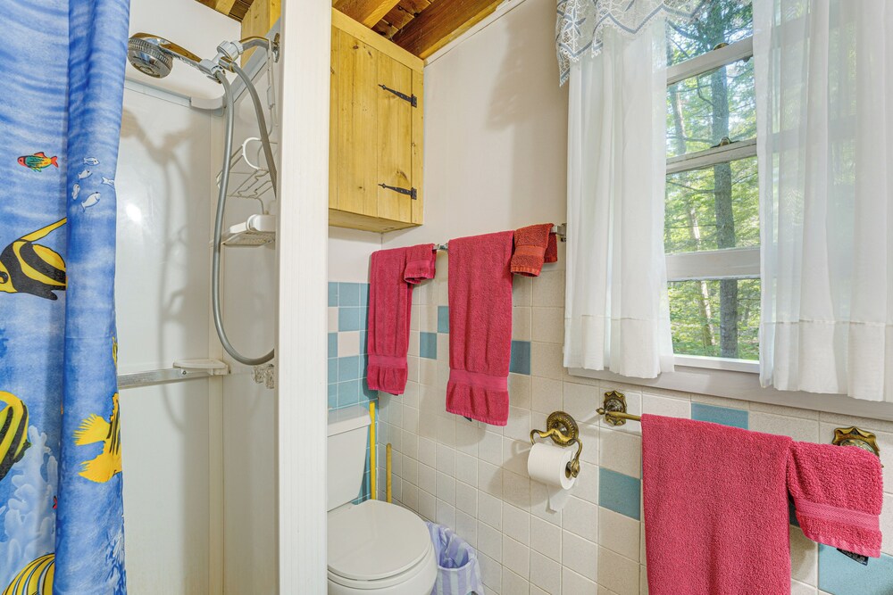 Quiet  Remote Cottage on Panther Pond! - Property Image 4