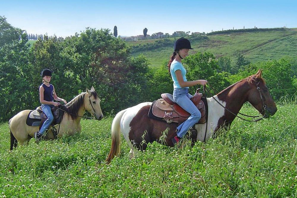Agriturismo Castellare Di Tonda Resort & Spa, Montaione view 4