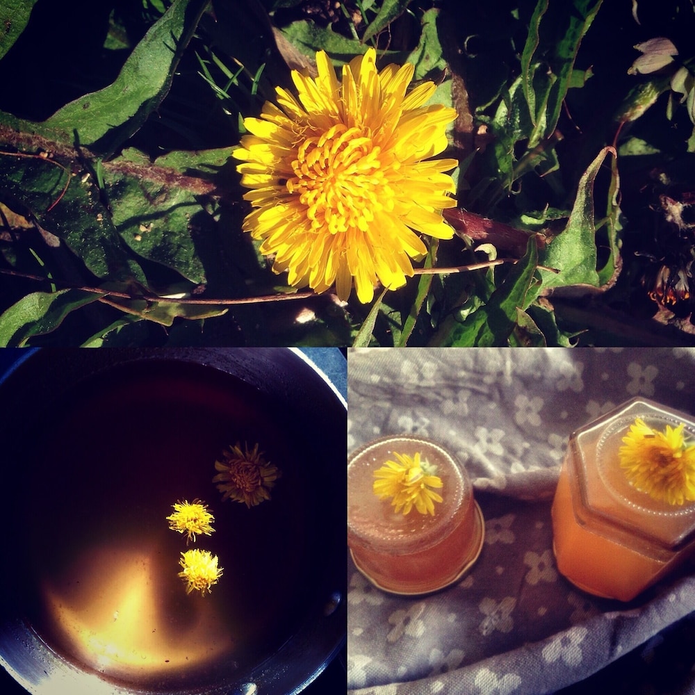 Domaine de l'Ocrerie