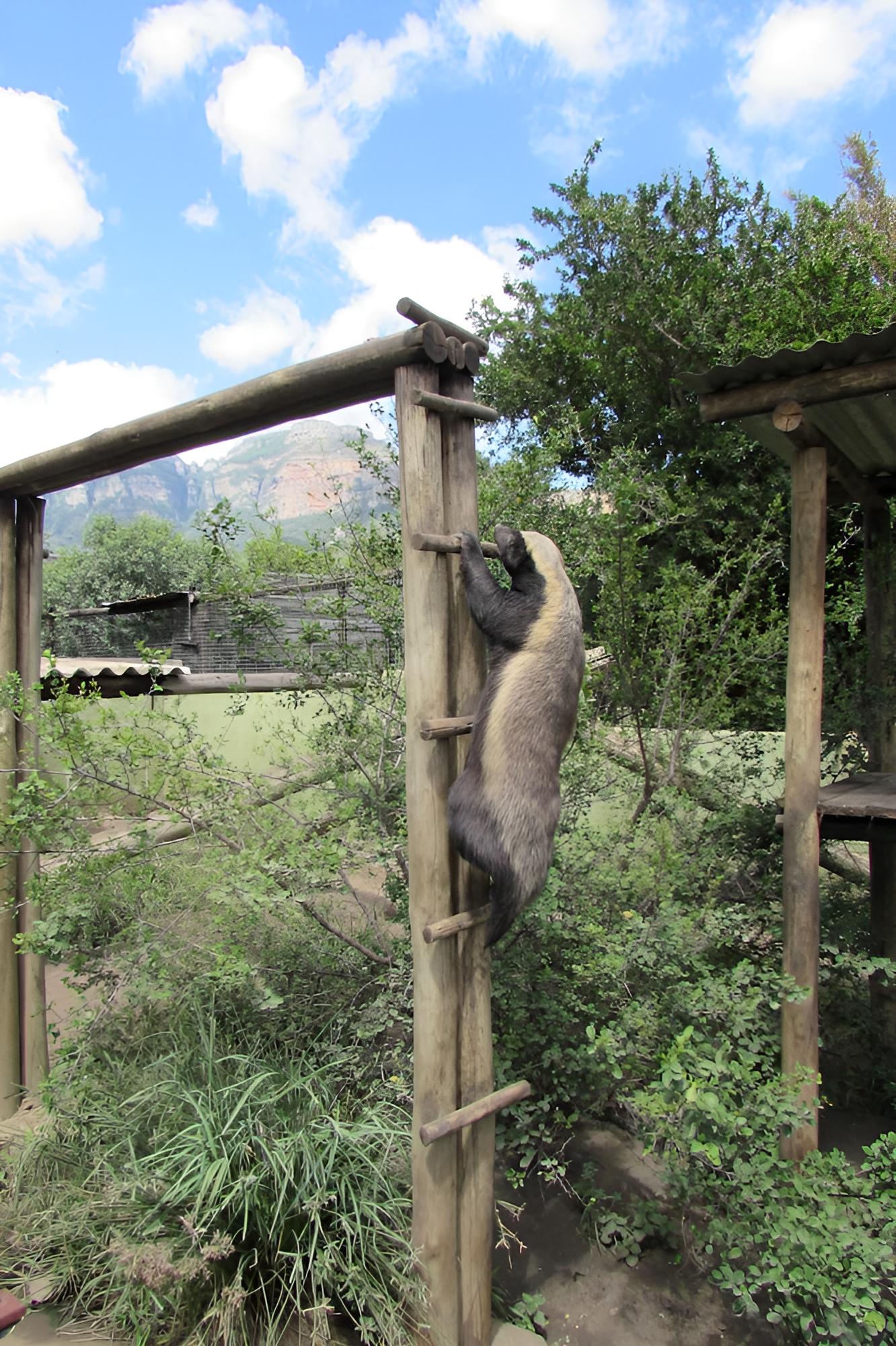 Amanzimloti Riverside Bush Camp