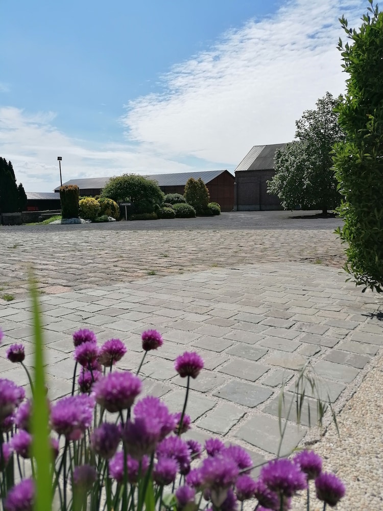 Ferme de Bonavis - Studios