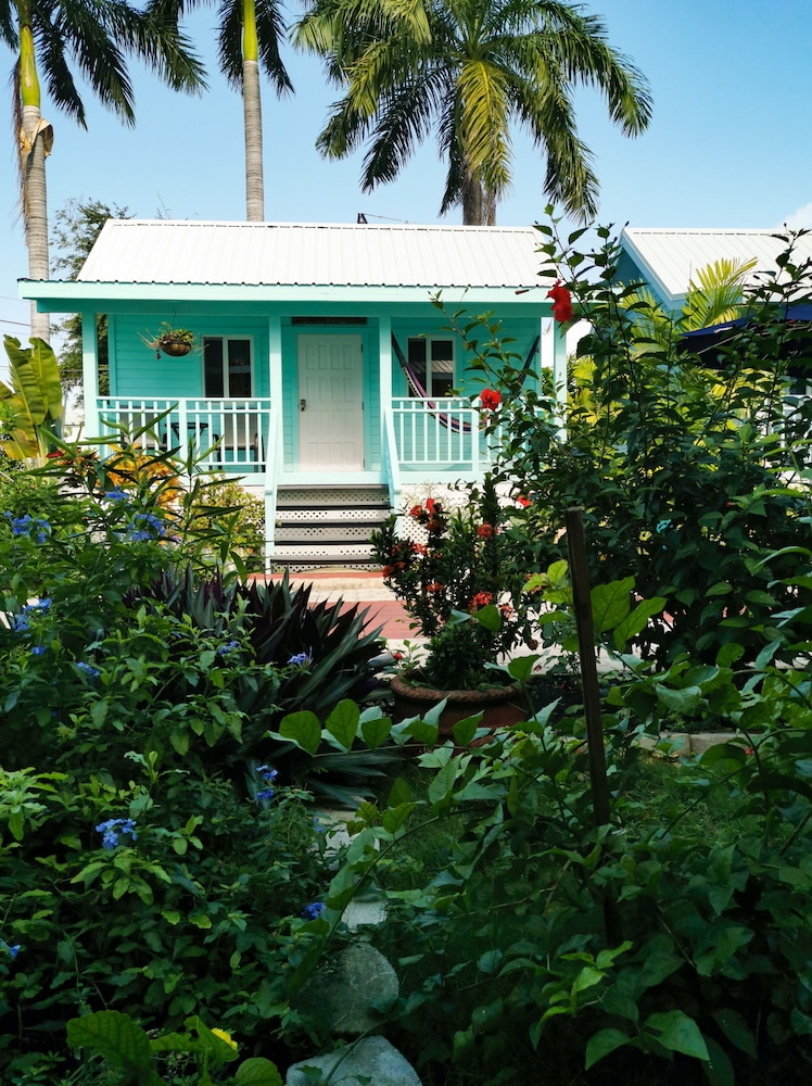 Belize Vacations - Harbour View Boutique Hotel  Wellness Retreat - Property Image 8