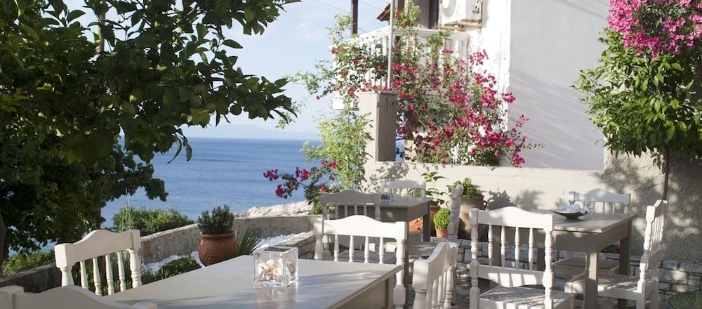 Hotel Cattleya