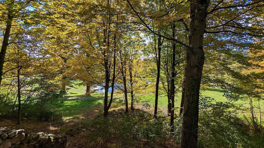 Pond View Cabin in Chittenden