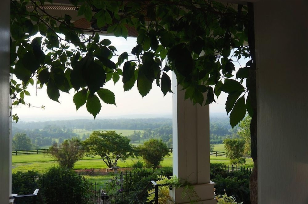 Weddings at Highholdborne view 5