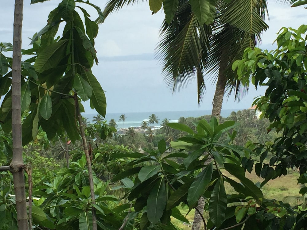 Lanka Eco Village