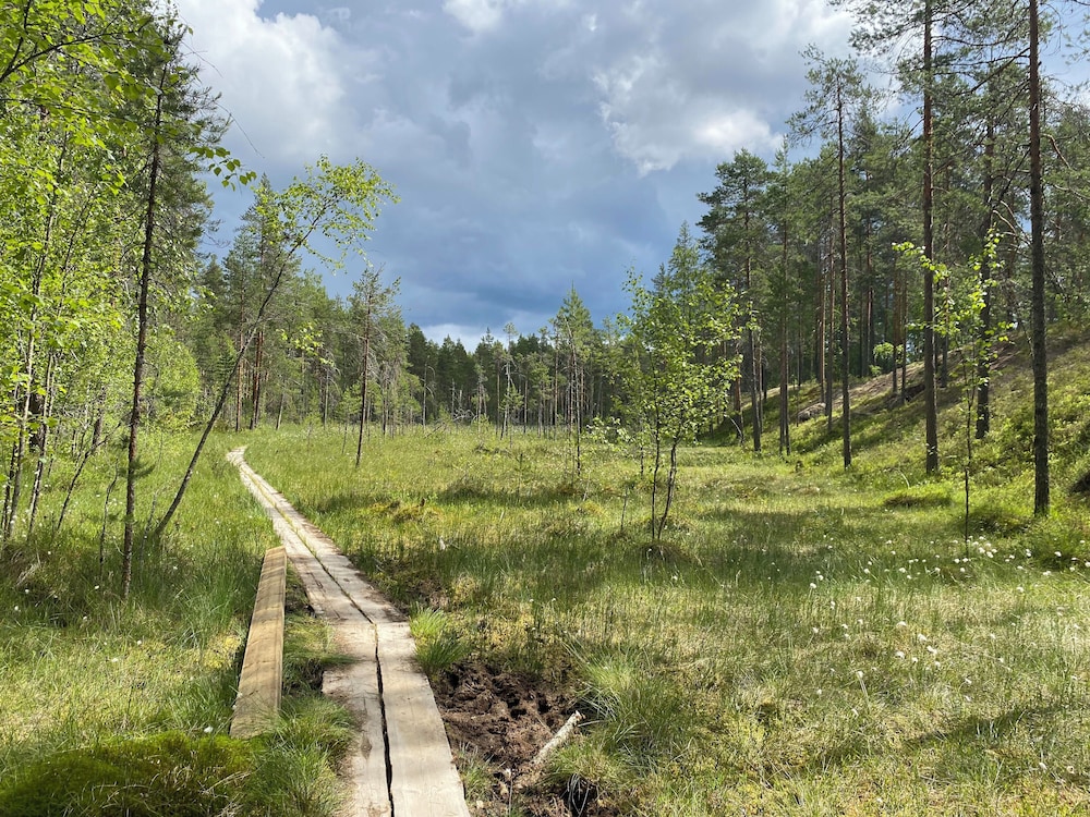 Pohjolan Kajo
