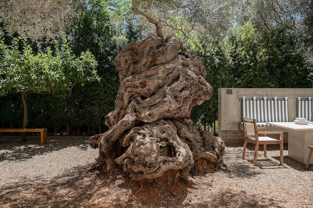 Photo 43