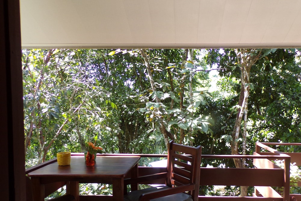 Mycasa's Bed and Breakfast