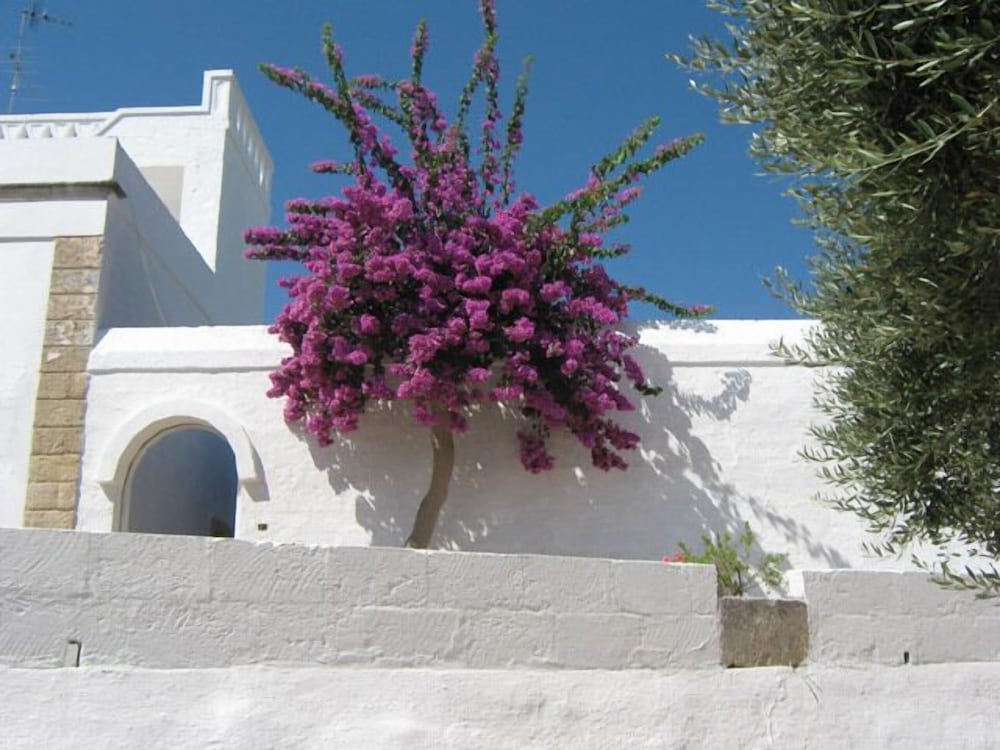 Masseria Rienzo