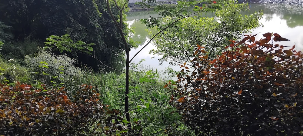 Pavanputra Resort Hassan