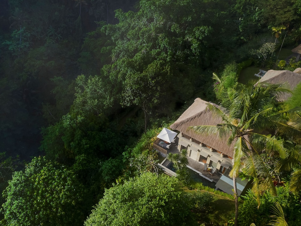 Maya Ubud Resort & Spa 71