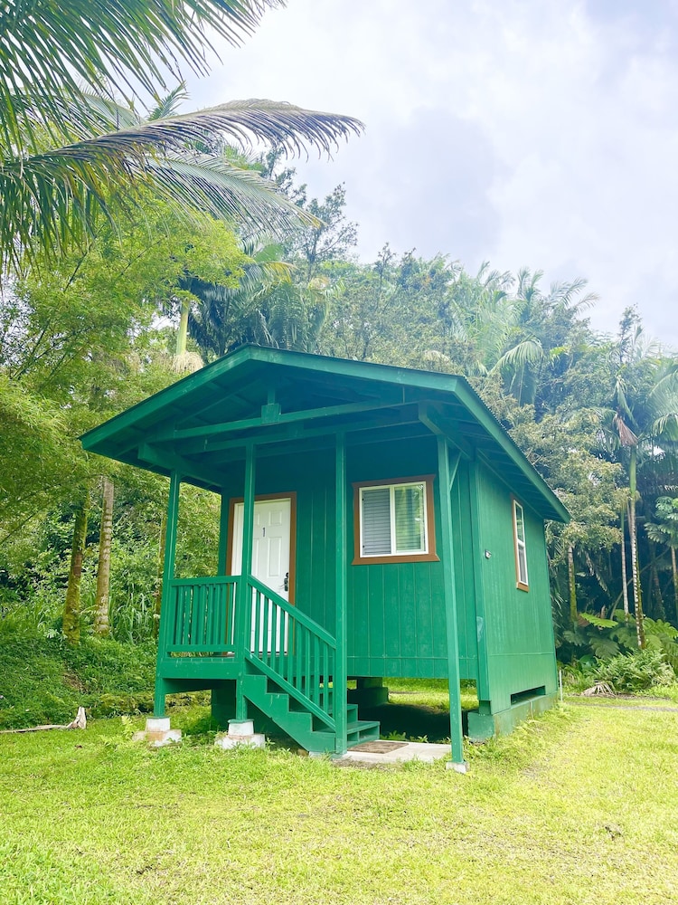 Hawaiian Sanctuary
