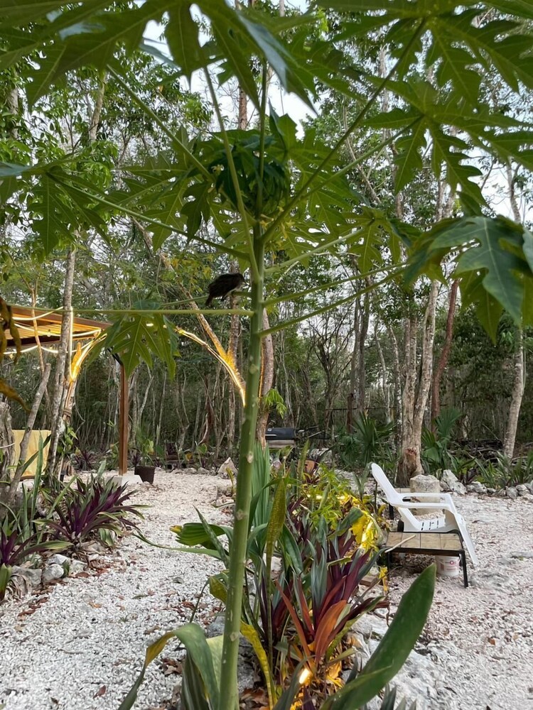 Cozumel Glamping