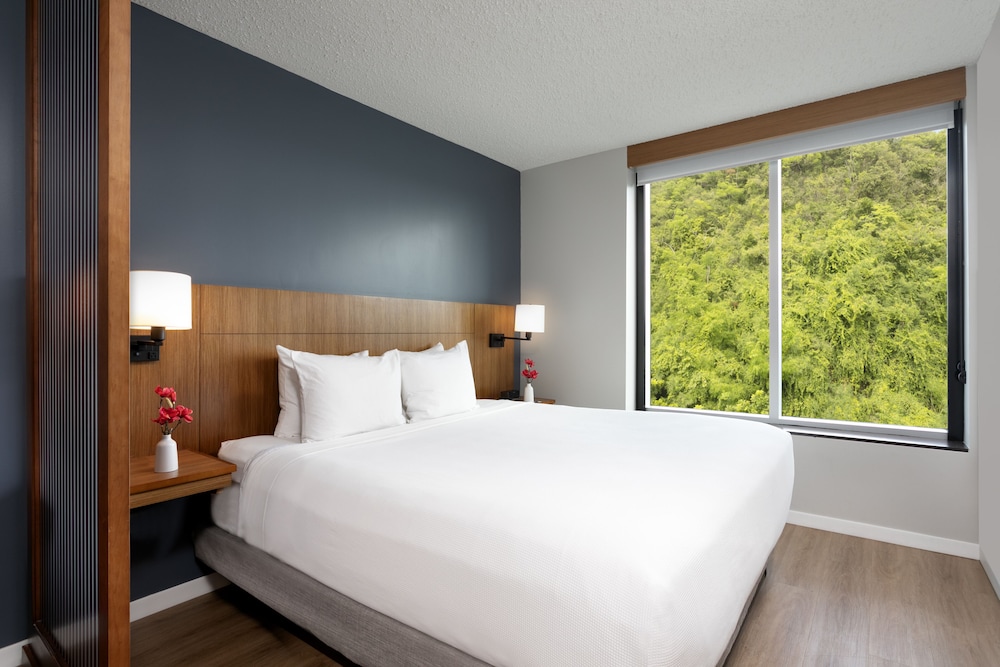 Hyatt Place Bayamon - Property Image 39