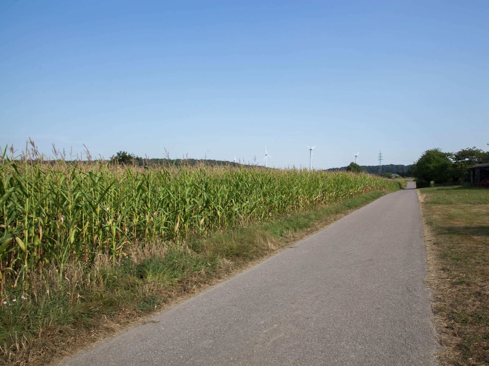 Photo 26