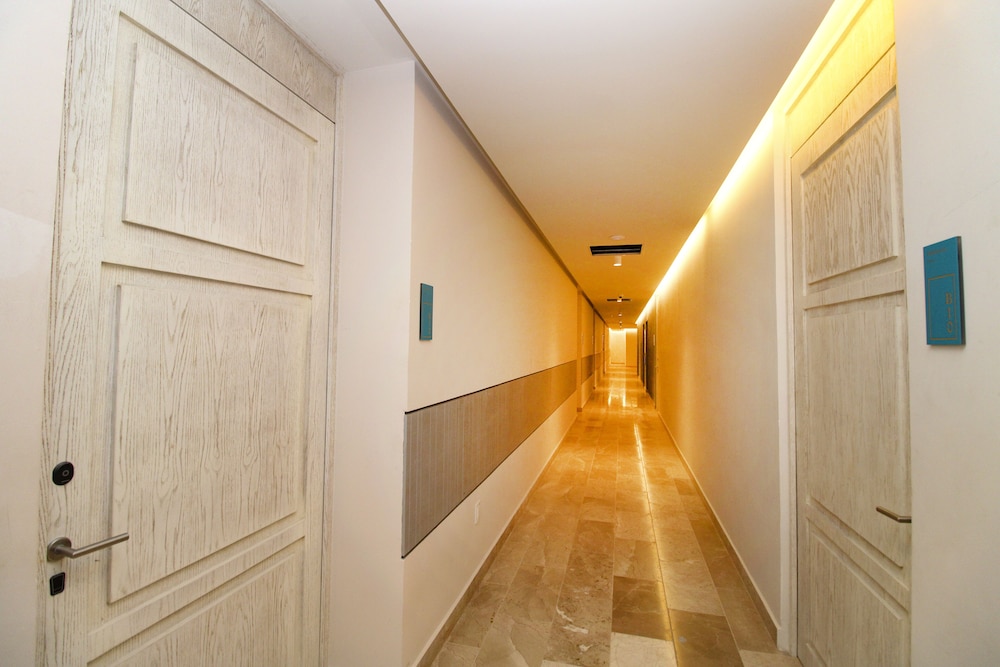 Singular Dream by Spot Rentals view 5
