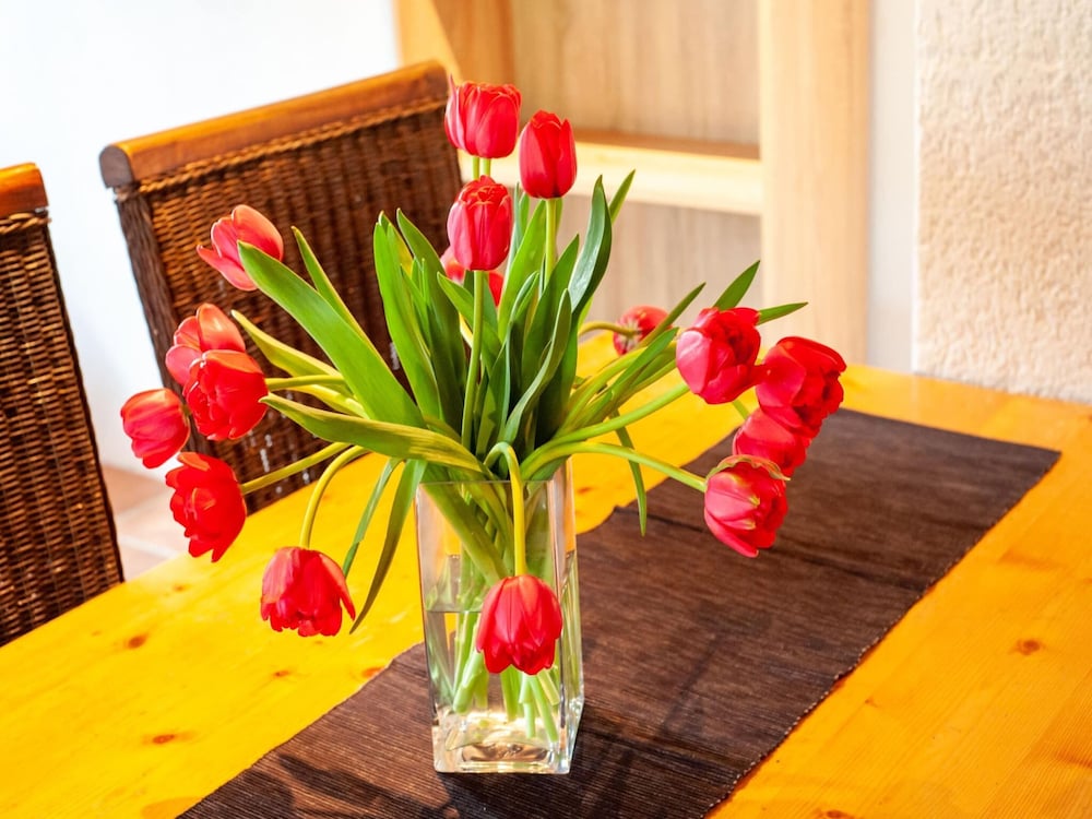 Apartment in Montafon Near Ski Lifts